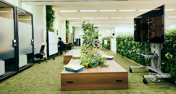 東京都渋谷区に本社を構え、緑の多いおしゃれなオフィスが特徴です。