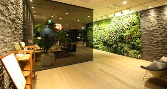 渋谷ヒカリエに本社を構える同社。コンセプトは「暖かみのある、緑の多いオフィス」。エントランスには緑が多く、どれも本物の植物。