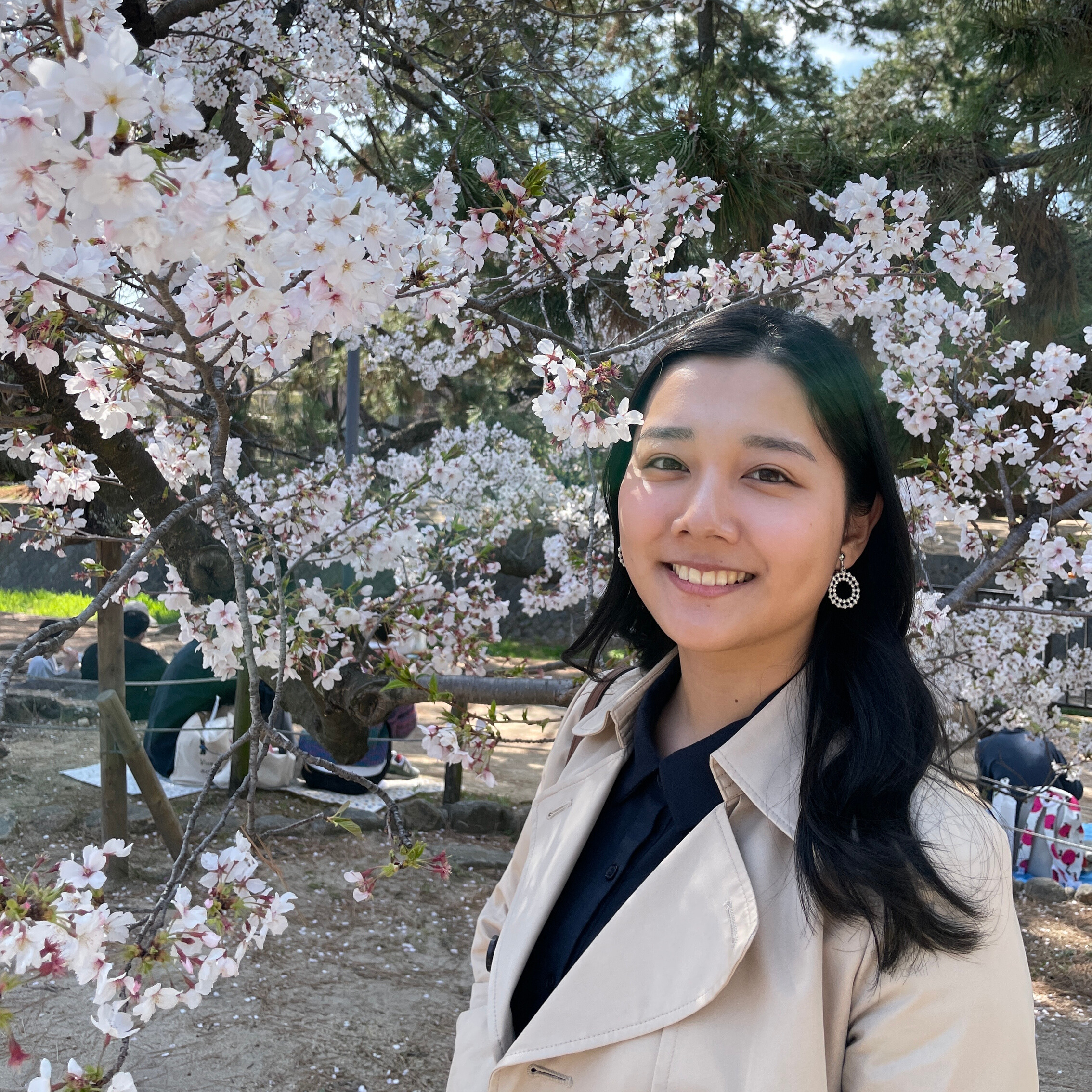 アカマツ　ノゾミ