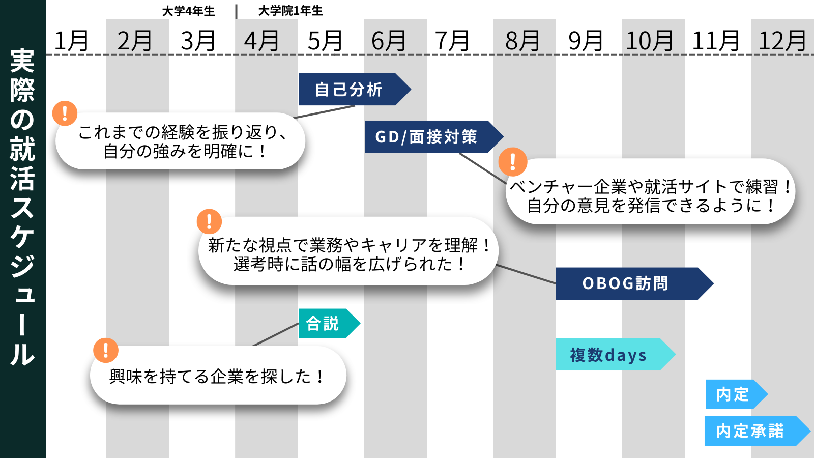 東北大学_就活スケジュール