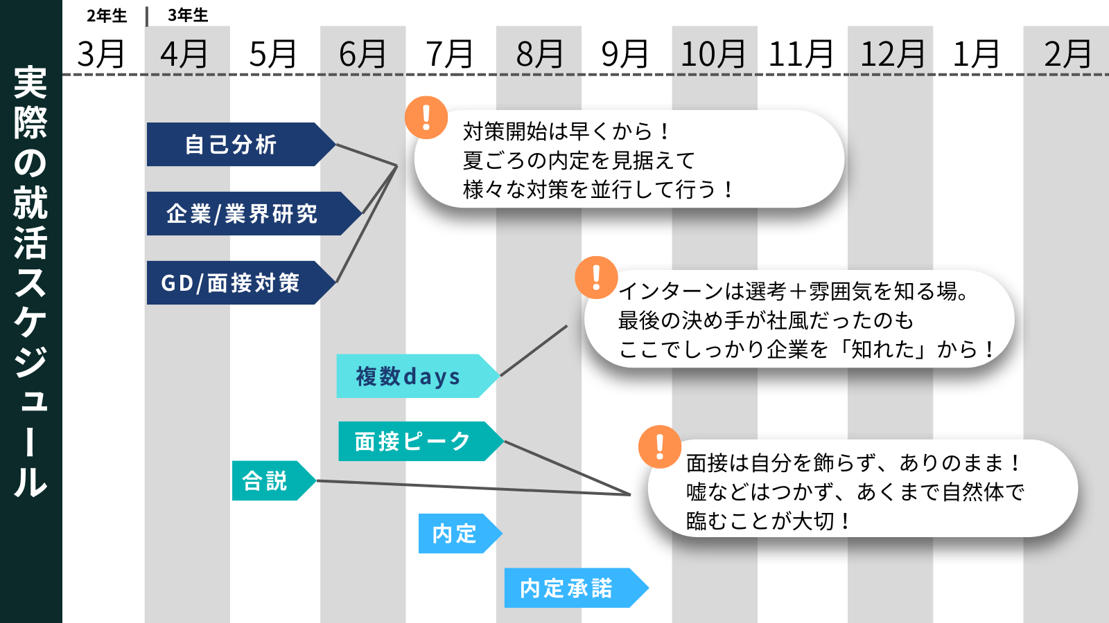 慶應義塾大学_就活スケジュール