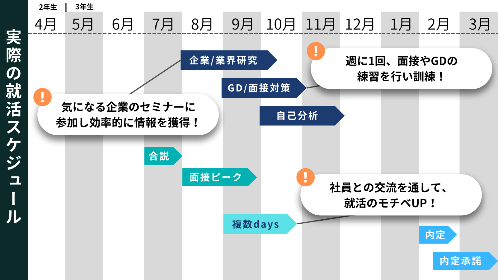 明治大学_就活スケジュール