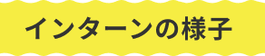 インターンの様子