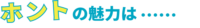 ホントの魅力は……